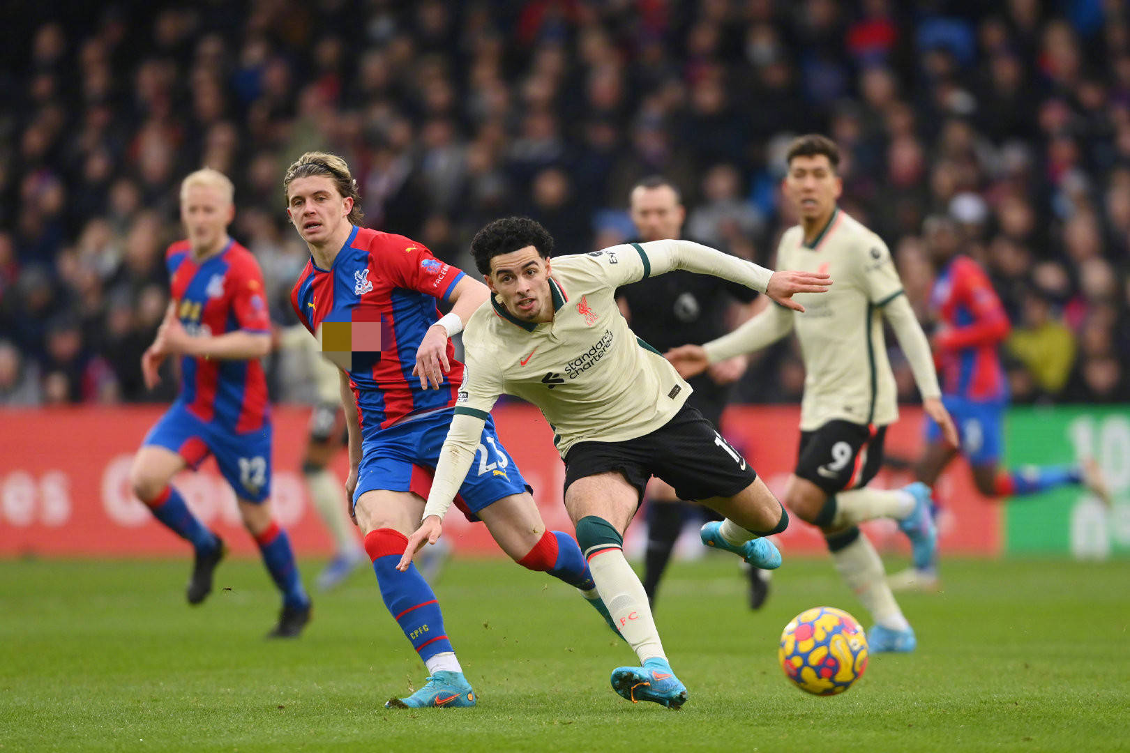 的俱乐部及 的俱乐部及